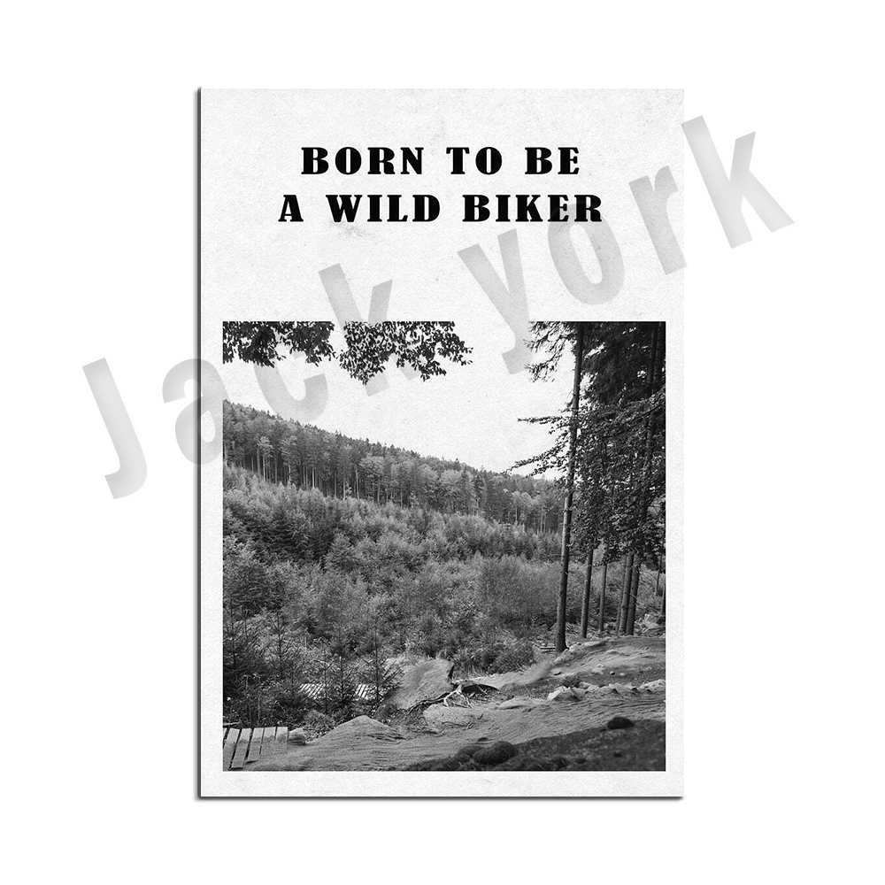 산악 자전거 예술, 자전거 포스터, 자전거 프린트, 영 - Mountain Biking York 리뷰 및 가격